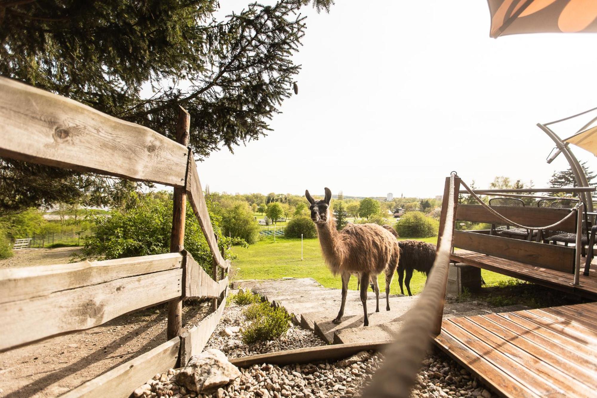 Hotel Rozkos Česká Skalice Dış mekan fotoğraf