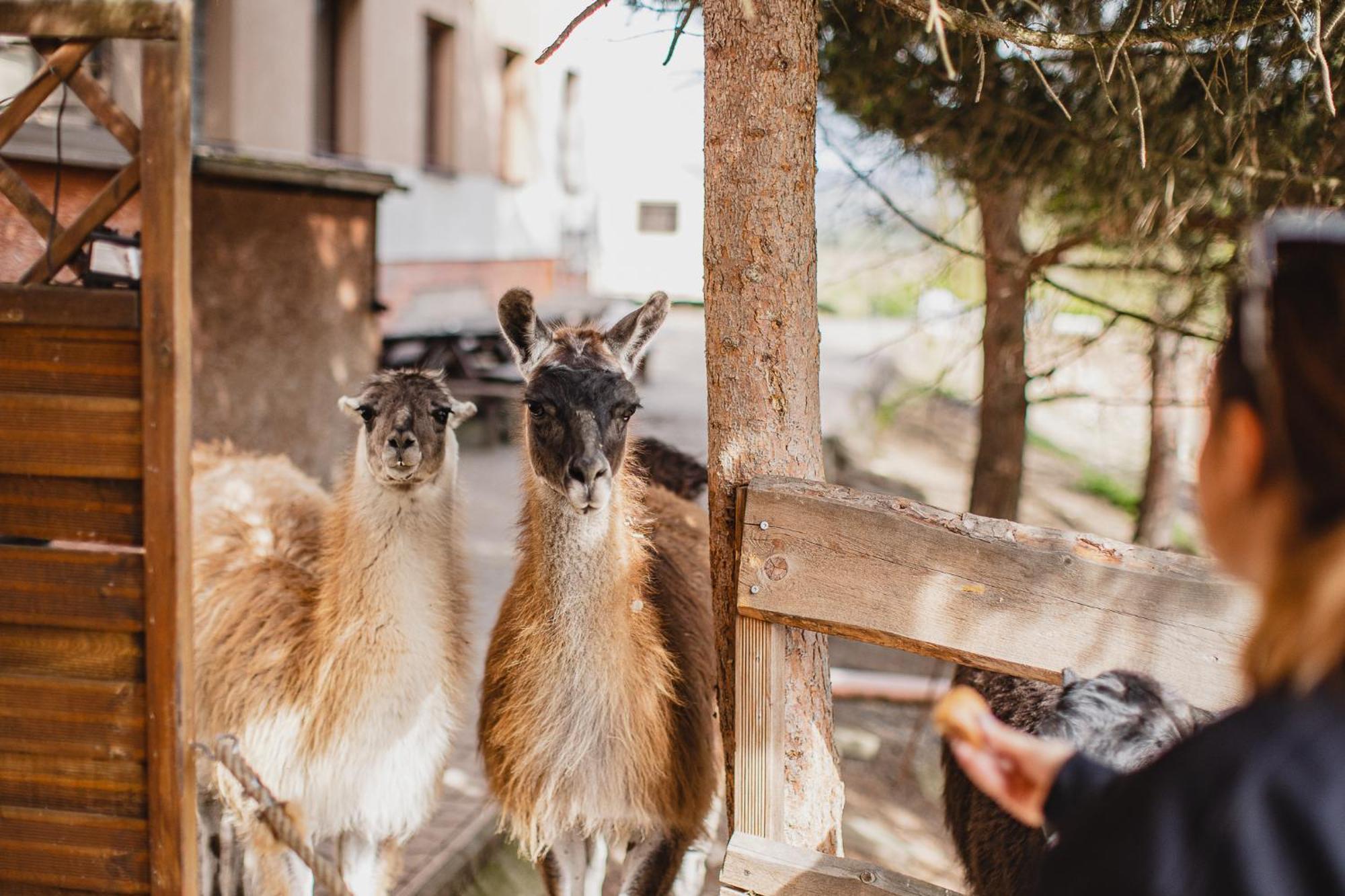 Hotel Rozkos Česká Skalice Dış mekan fotoğraf