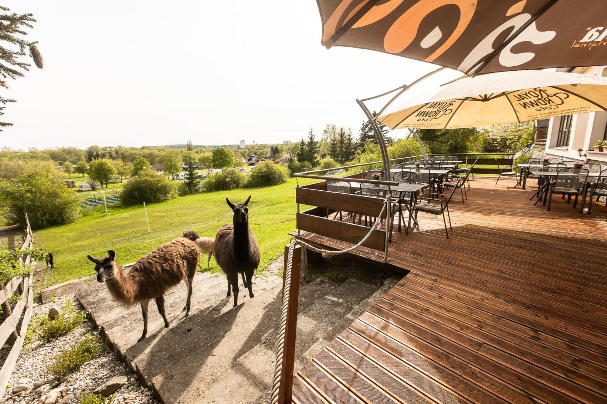 Hotel Rozkos Česká Skalice Dış mekan fotoğraf
